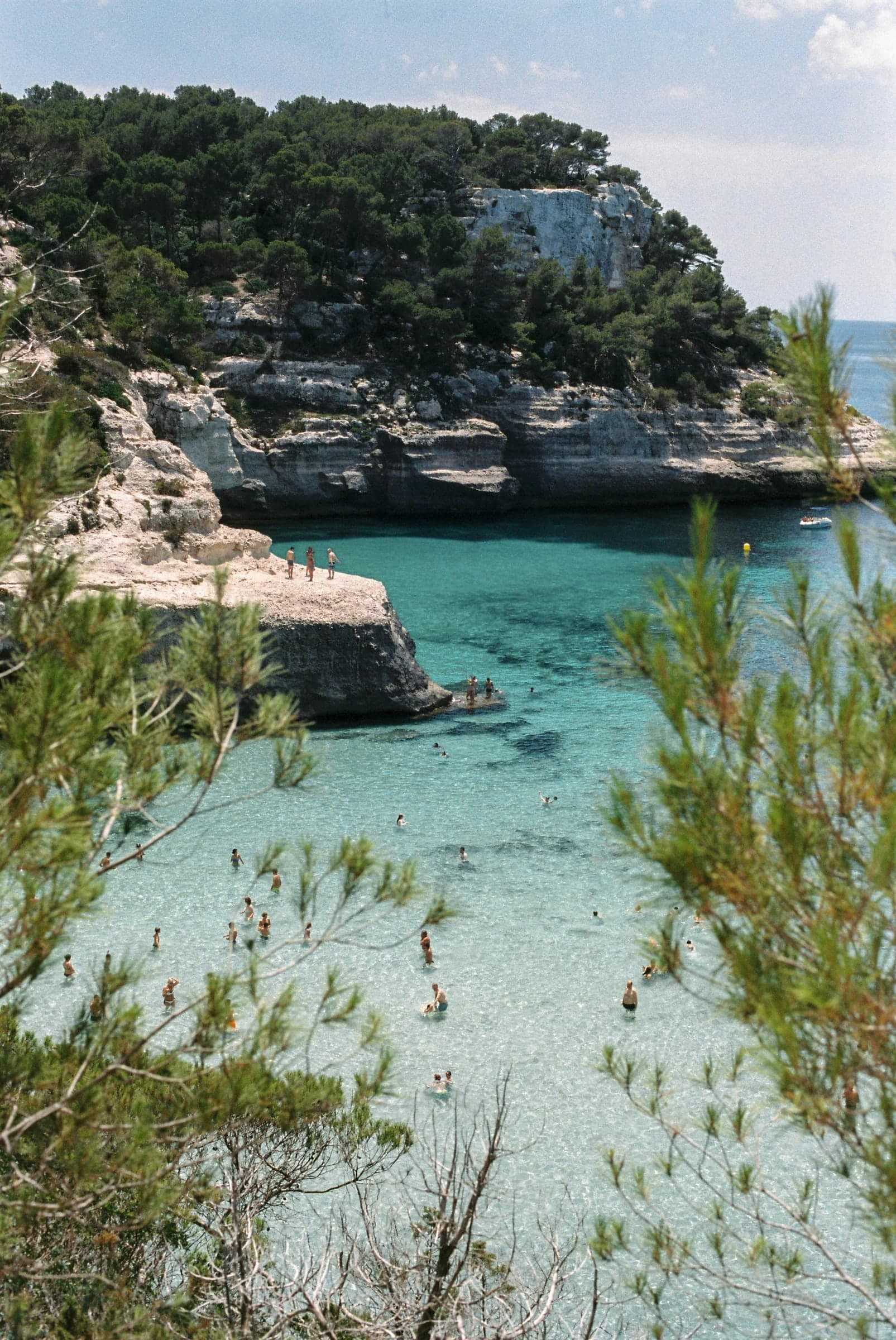 A white sand cove framed by pines