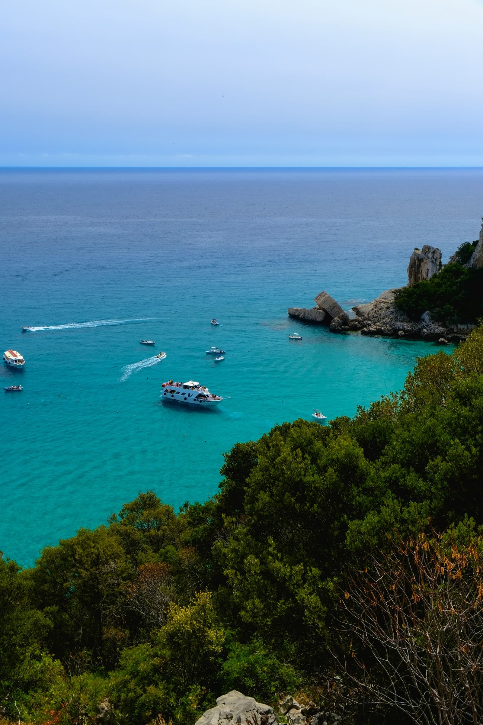 Boats in a turquoise bay seen through trees