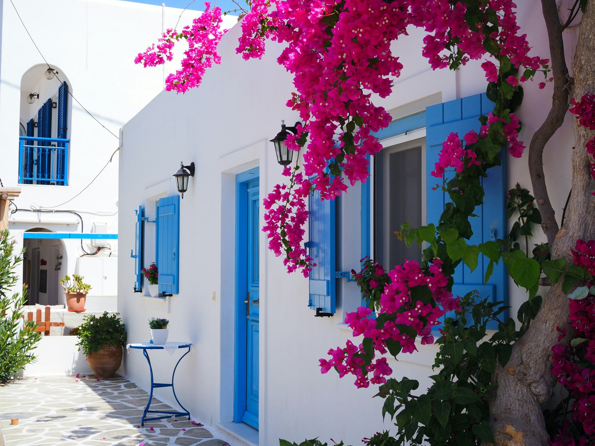 A whitewashed house with blue shutters and bougainvillea